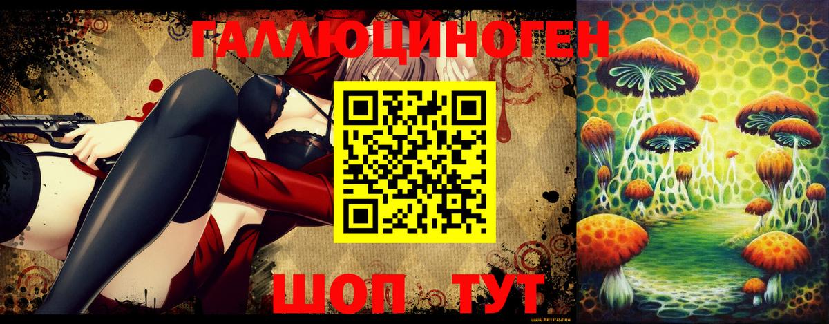 Галлюциногенные грибы Psilocybe Бузулук