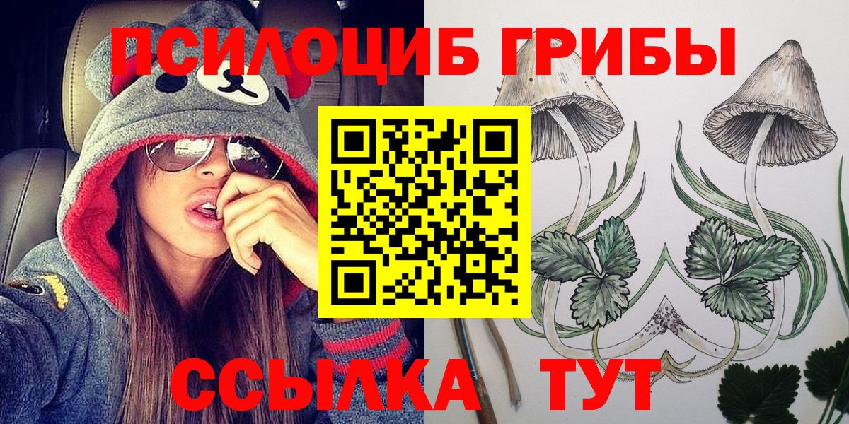 Бузулук  Псилоцибиновые грибы Psilocybe  Вход с VPN 