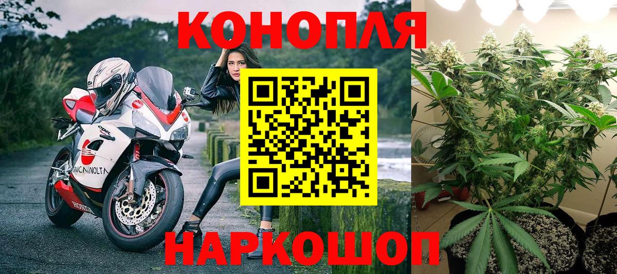Бузулук  Канабис марихуана  Каннабис Amnesia  Каннабис планчик  Вход с VPN 